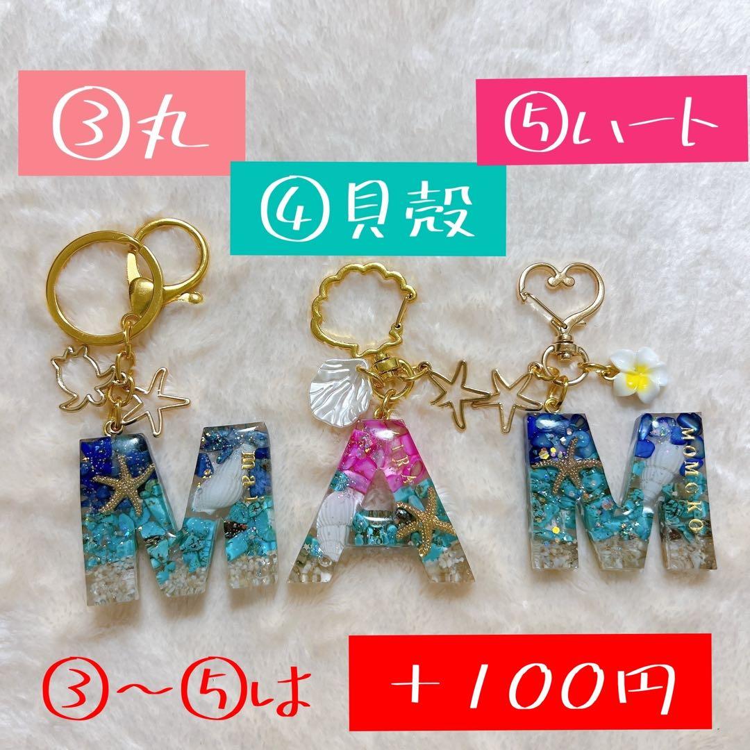 お急ぎ！２１日までに。むちょ様　アラモアナビーチ　12個　全て男の子に