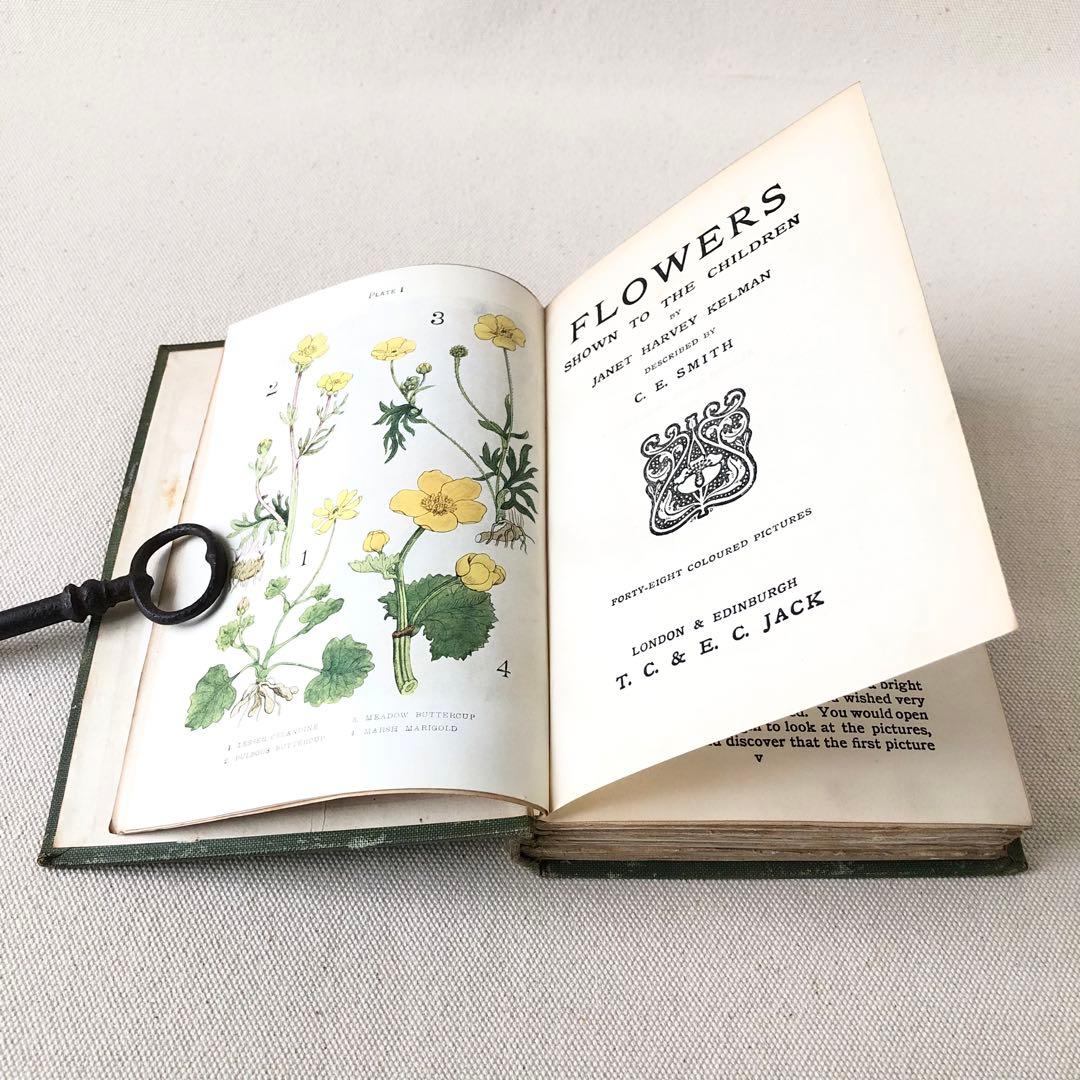 1900年代初期版！ イギリスの希少なアンティーク植物図鑑 花の図鑑