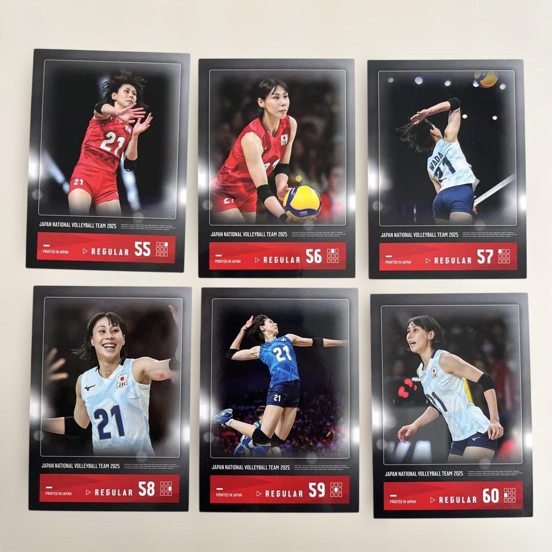 和田由紀子 バレーボール女子 日本代表2025 レギュラー 女子バレー 6