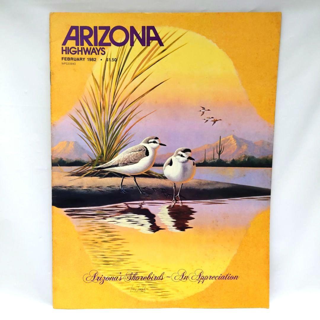 ARIZONA HIGHWAYS 1982年 1年分 アリゾナハイウェイ 洋書 - メルカリ