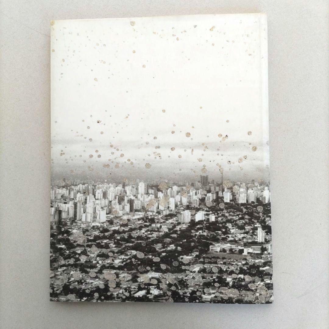 über euren Städten wird Gras wachsen/写真集