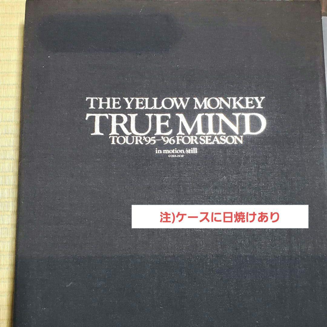 THE YELLOW MONKEY 非売品 レア物 CD ツアーパンフまとめ売り - メルカリ