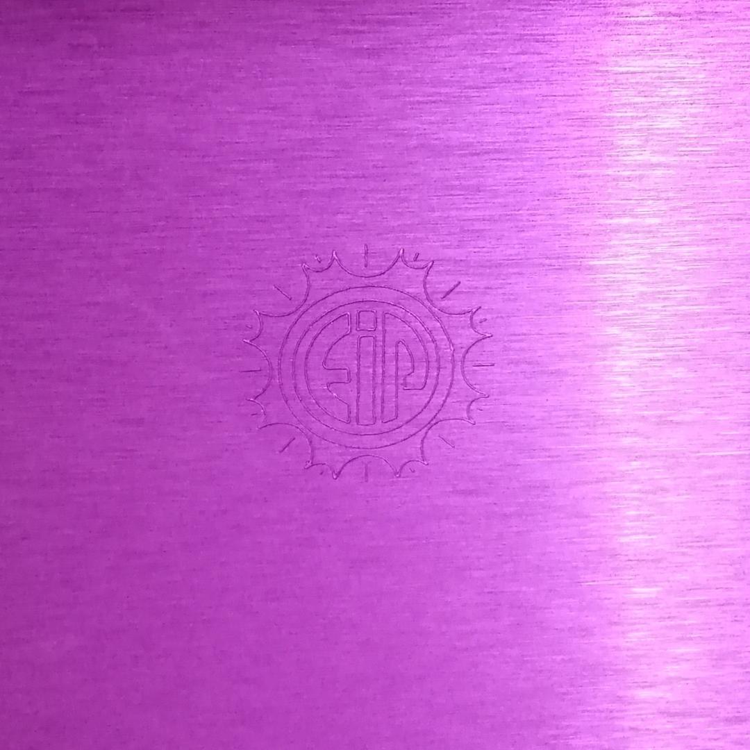 ニコラ・テスラ ポジティブエナジー・パープルプレート L 電磁波対策