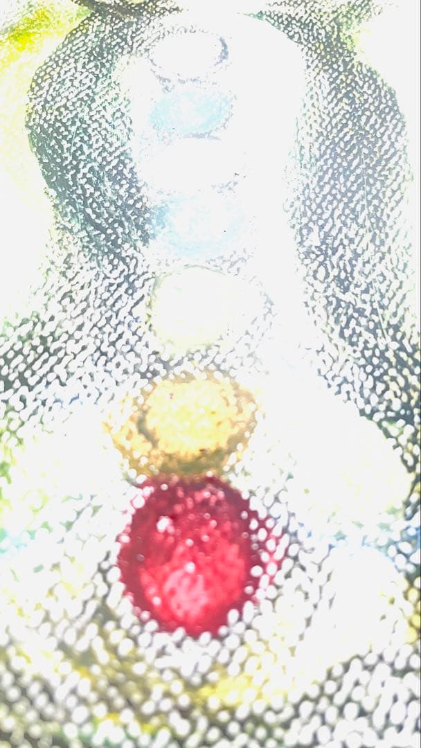 皇が感じた人体チャクラの神文字封じ絵画 皇が感じた人体チャクラの神文字封じ絵画 皇が感じた人体