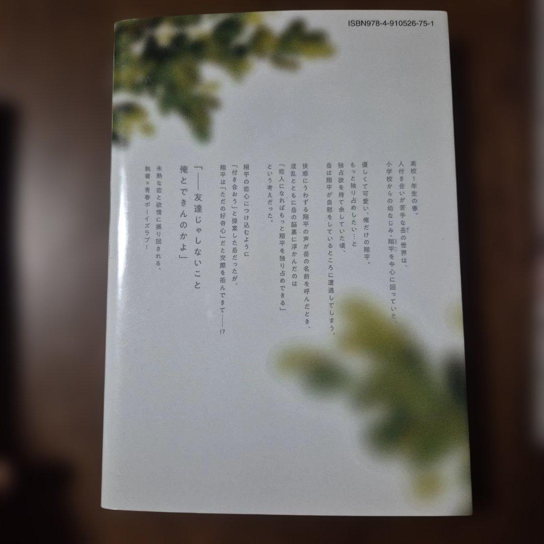 ボーイズラブ漫画 3冊セット BL コミック まとめ売り その④ - メルカリ