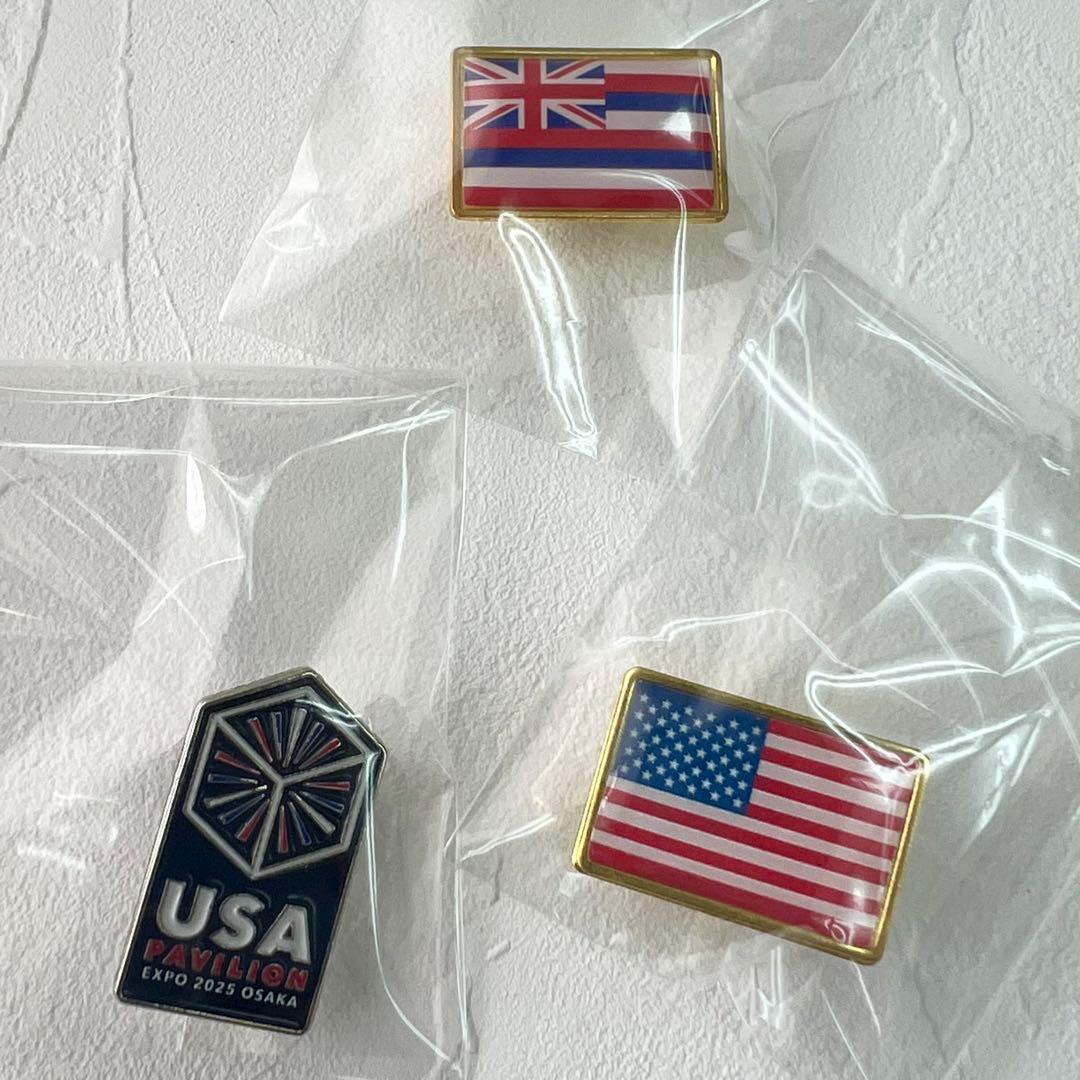 非売品】大阪関西万博2025 USA パビリオン アメリカ館 ピンバッジ3点