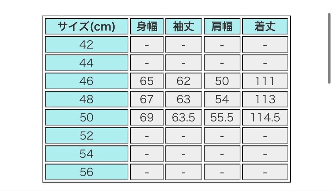 希少！！FENDI 46ストライプデザイン ナイロンジャケット - メルカリ