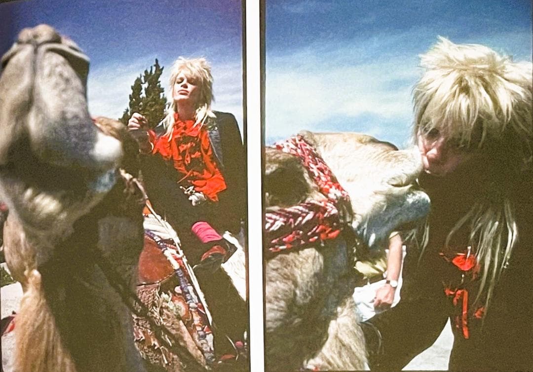 絶版・入手困難】ハノイロックス HANOI ROCKS '82-'84 写真集 - メルカリ