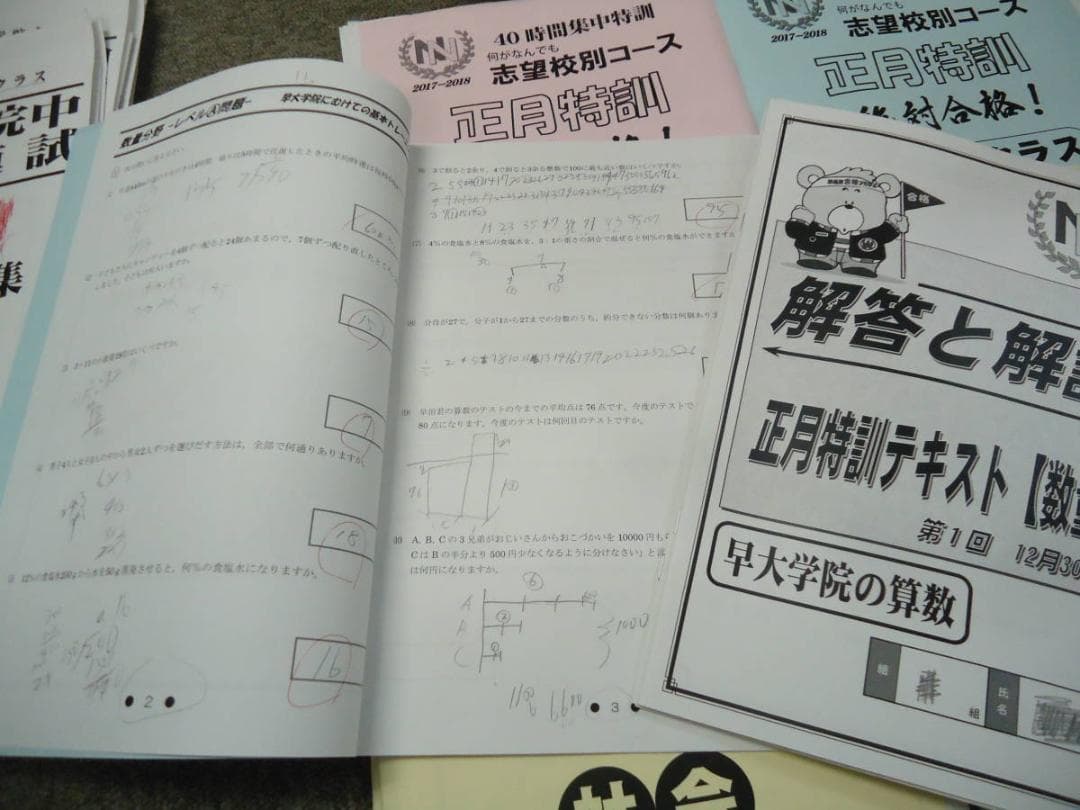 早稲田アカデミー NN早大学院 正月特訓/直前特講/その他 2017年度版