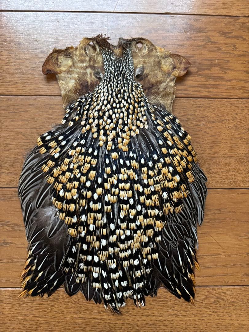 c*s様 ジャングルコック　フライマテリアル Ken-Cube ジャングルコック Grade A （No.1）