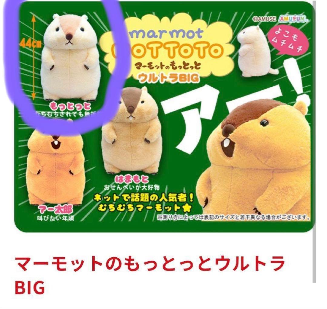 マーモットのもっとっと ぬいぐるみ ウルトラBIG もっとっと1点