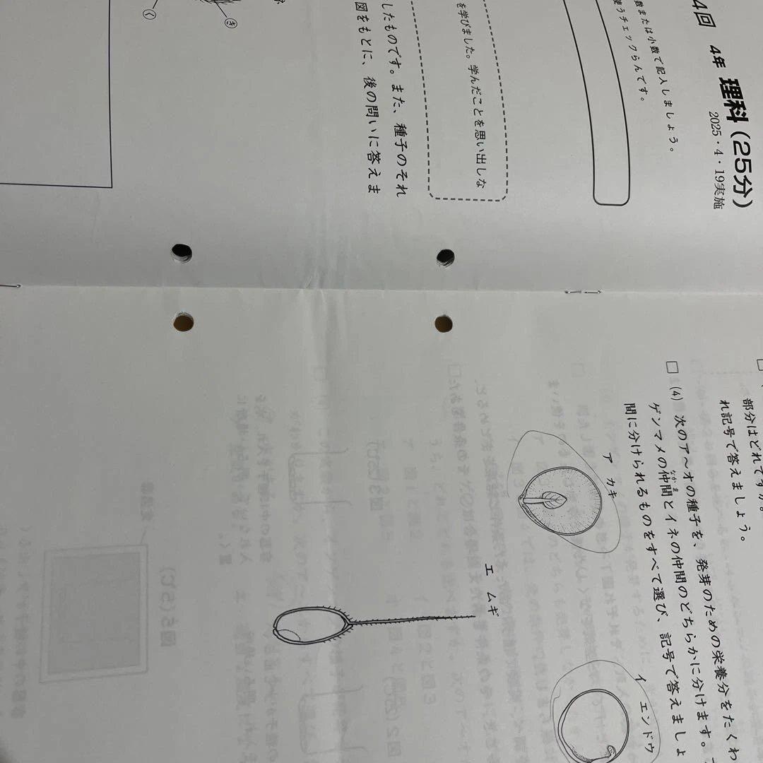 2025年 日能研 4年 ステージⅡ育成テスト➁ - メルカリ