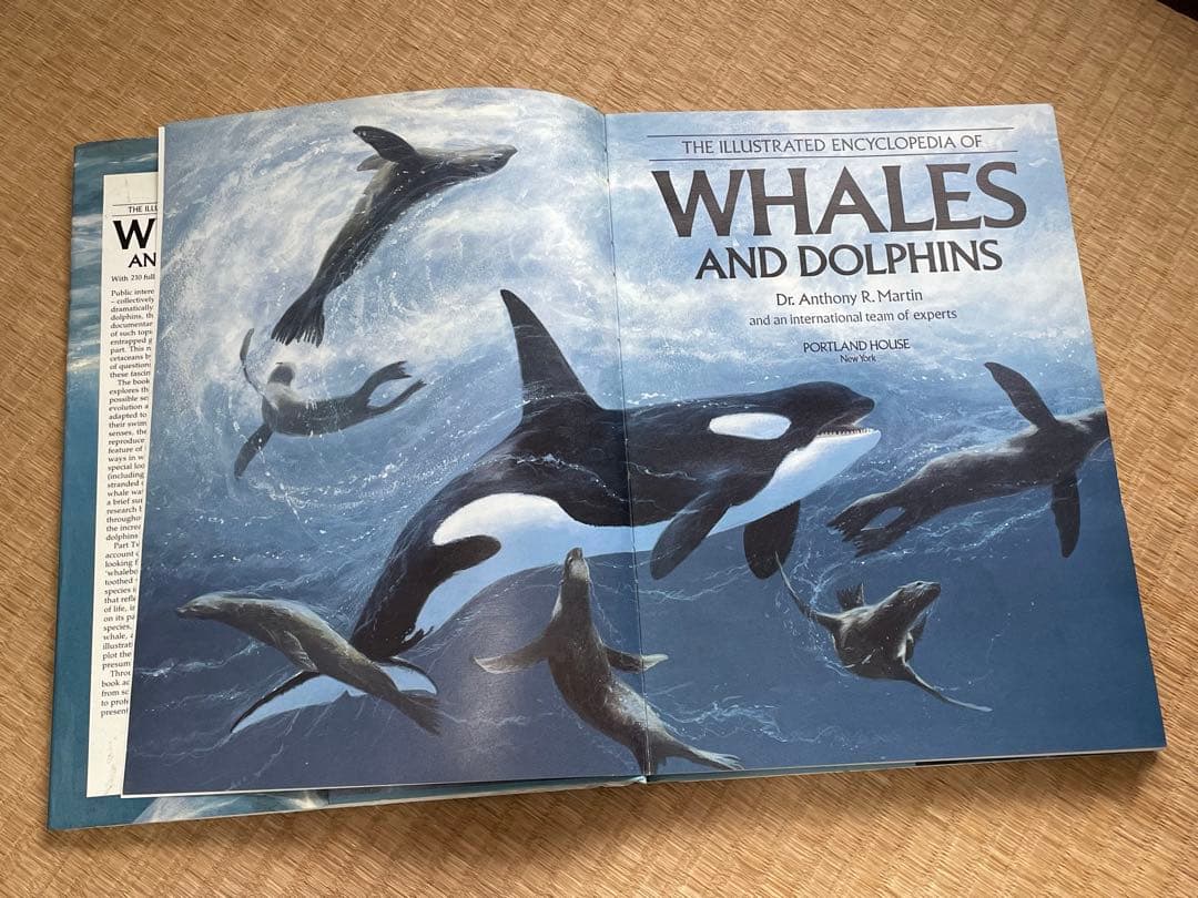 洋書 貴重！クジラとイルカに関する図鑑 アンソニー・R・マーティン