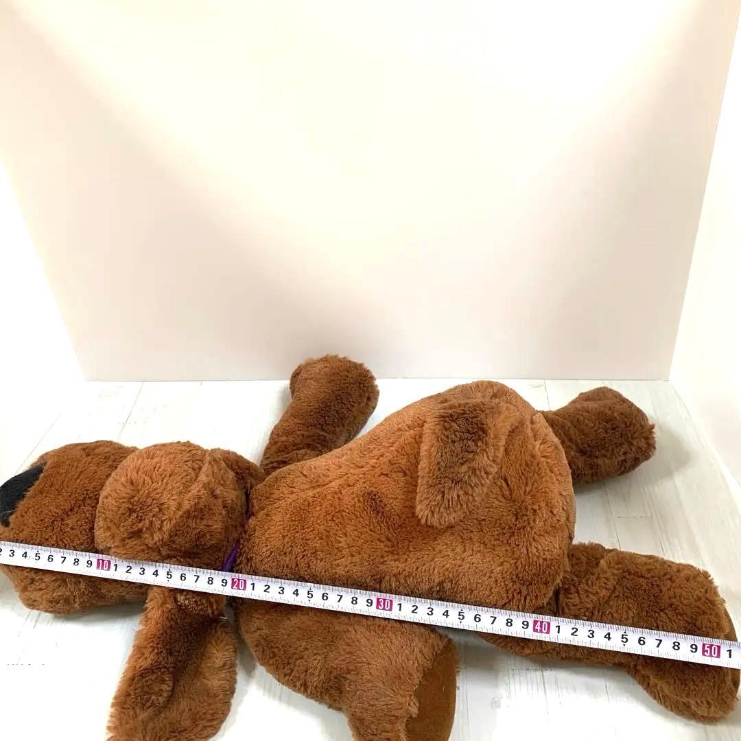 V☆ 子犬のルーク 大きいサイズ 55センチ - メルカリ