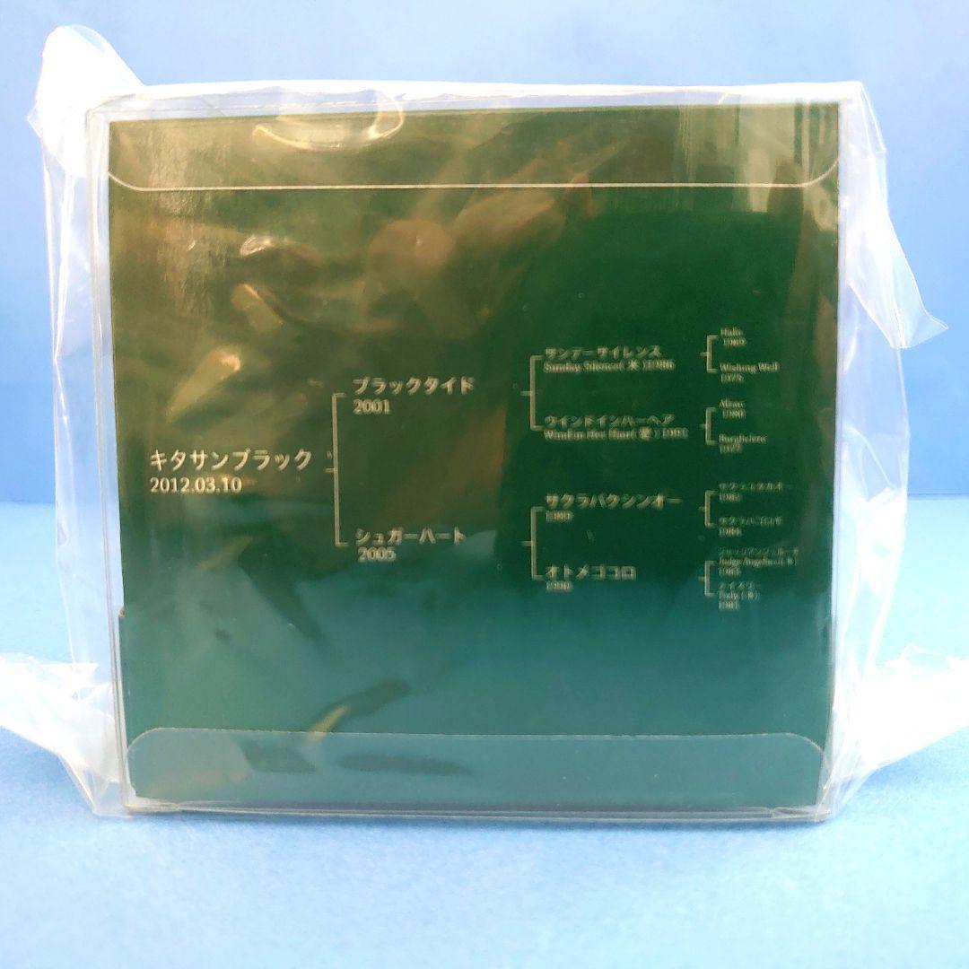 新品】キタサンブラックぬいぐるみフィギュアウマ娘アイドルホース