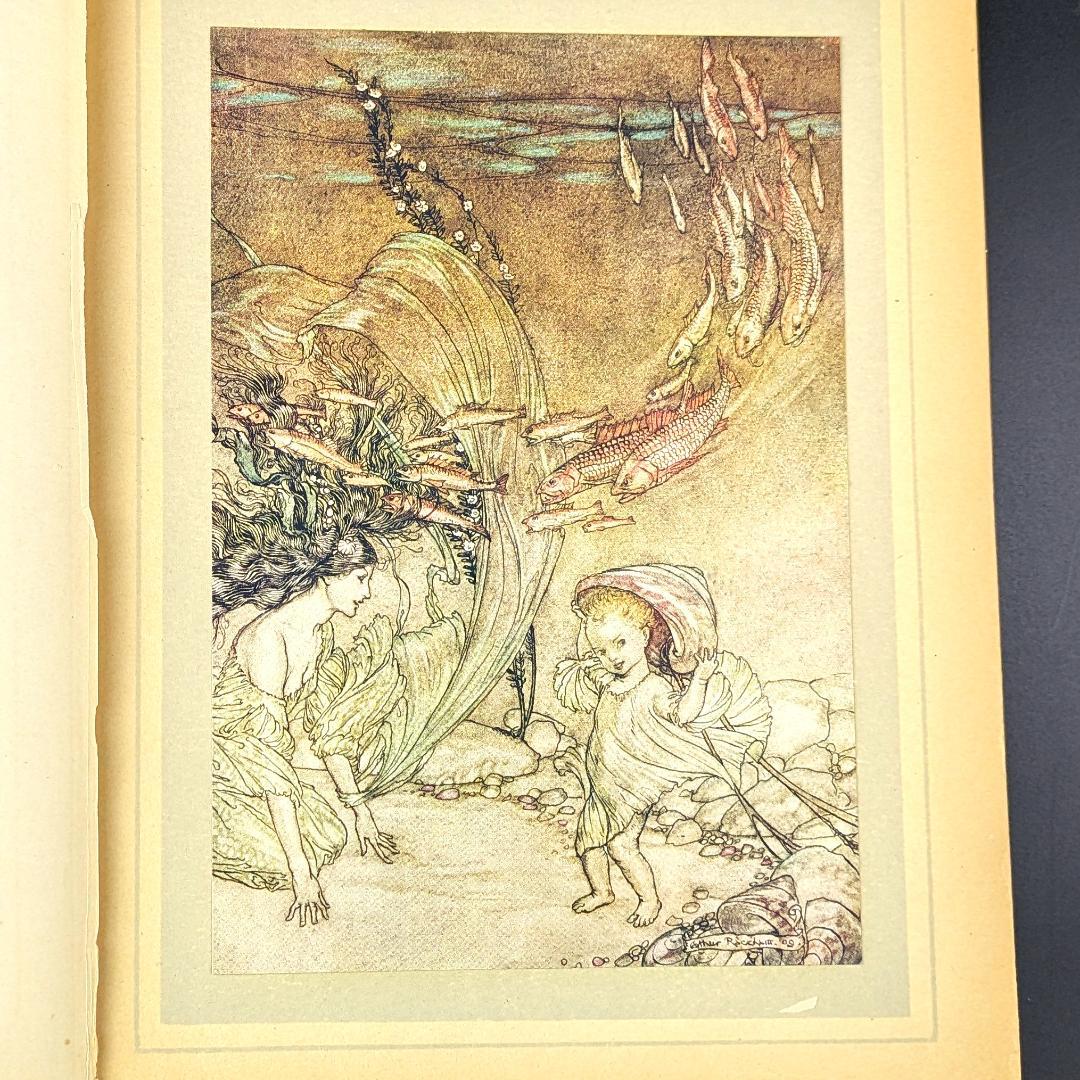 希少な初版 アーサー・ラッカム挿画本『ウンディーネ』1909年 全図15枚