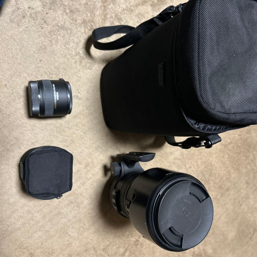 シグマ50-500mm F4.5-6.3 DG OS HSM キヤノン用