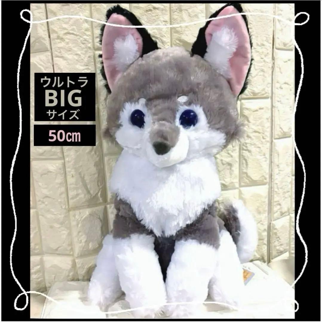 アマテラスのオオカミ／ ホロウ ☆ウルトラBIGサイズ☆ - メルカリ