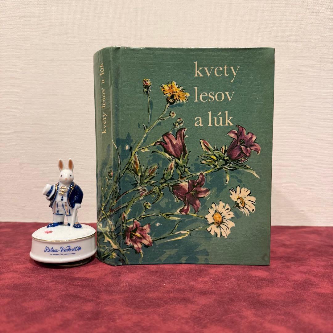 25②1965年チェコ植物図鑑 ジャンクジャーナル ボタンニカル 洋書古書