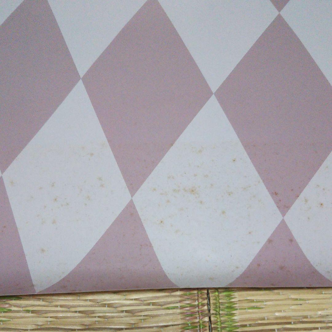 ③ファイナルロマンス2 ポスター  須藤有紀 うるし原智志