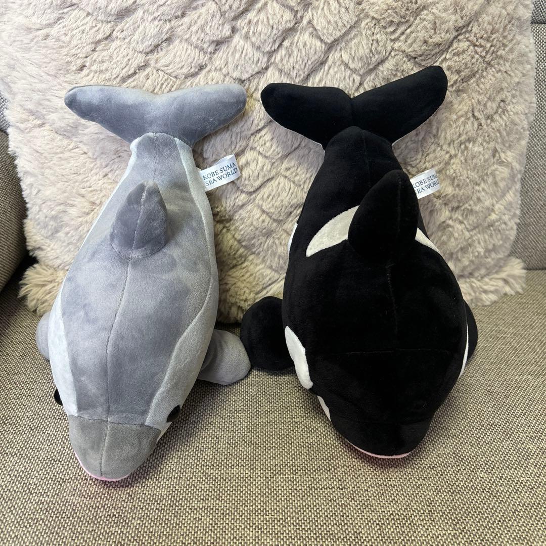 神戸須磨シーワールド オルカくじ イルカくじ 4等 シャチ ぬいぐるみ