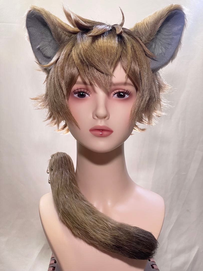 ラギー・ブッチ ウィッグ コスプレ ツイステ つけ耳 尻尾 ⑪ - メルカリ