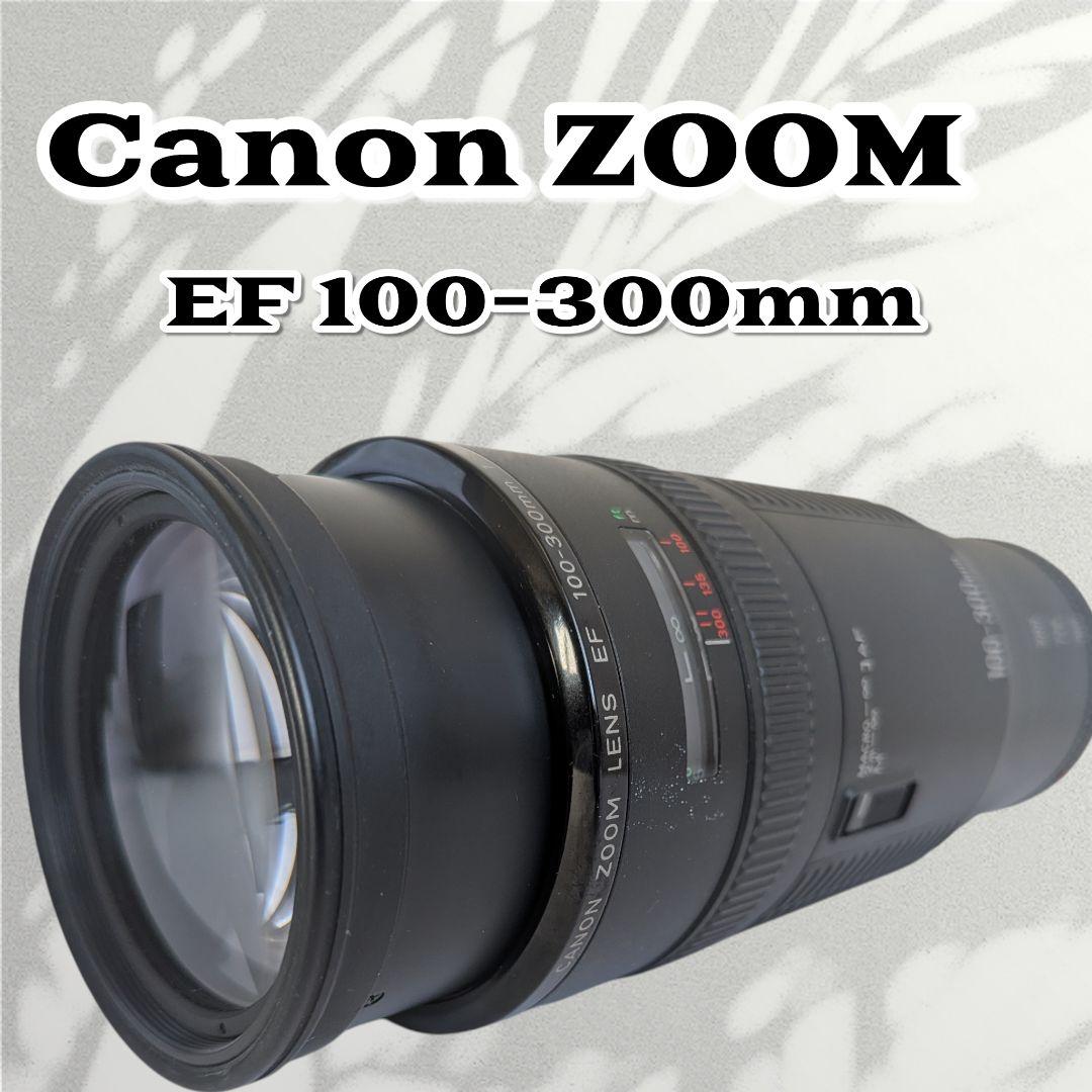 Canon EF 100-300mm F5.6 ❤️超望遠レンズ キヤノン Amazon.co.jp: Canon EFレンズ 100-300 F4.5-5.6 USM : 家電＆カメラ