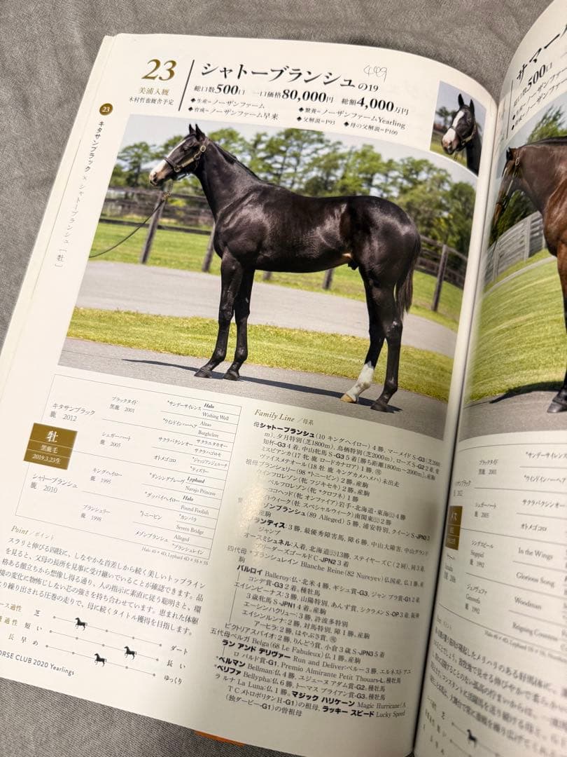 競馬非売品 2020年イクイノックス募集時 カタログ募集時馬体重メモ記載