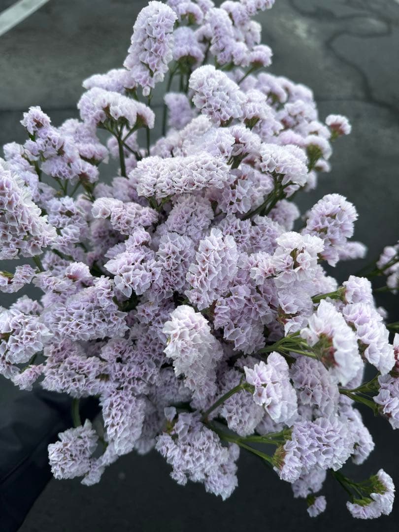 aya様 リクエスト 4点 まとめ商品