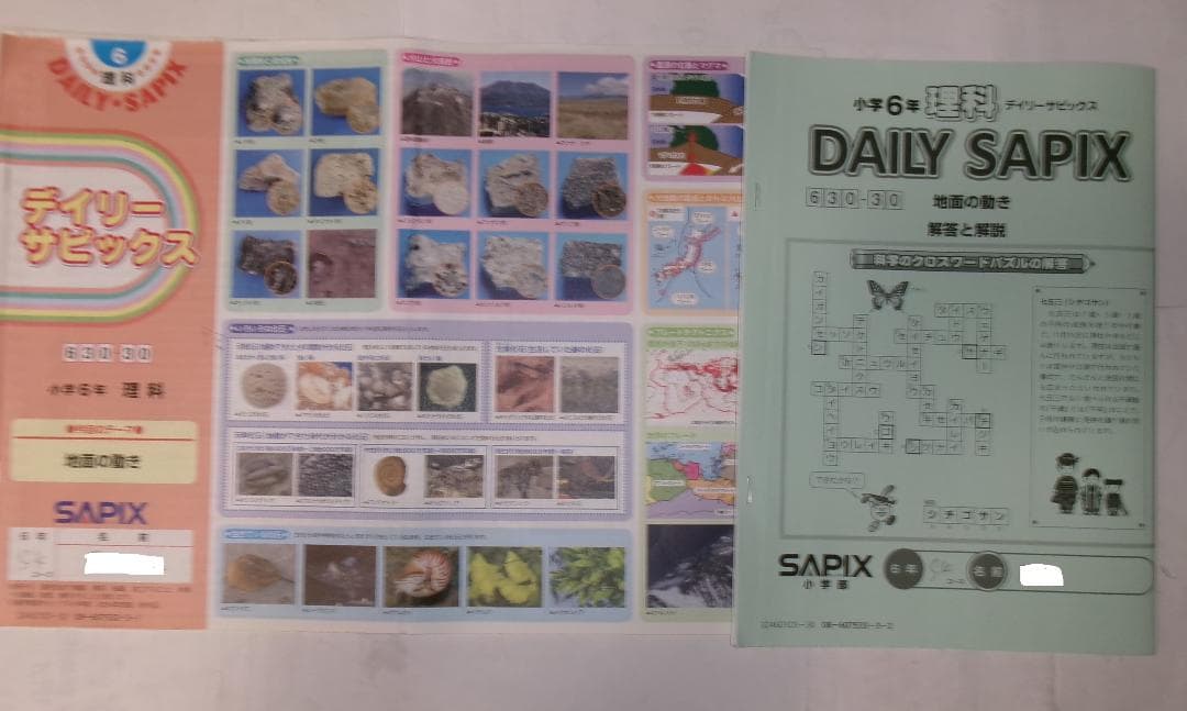 サピックス＊デイリー サピックス＊6年＊理科／全38回 完全版