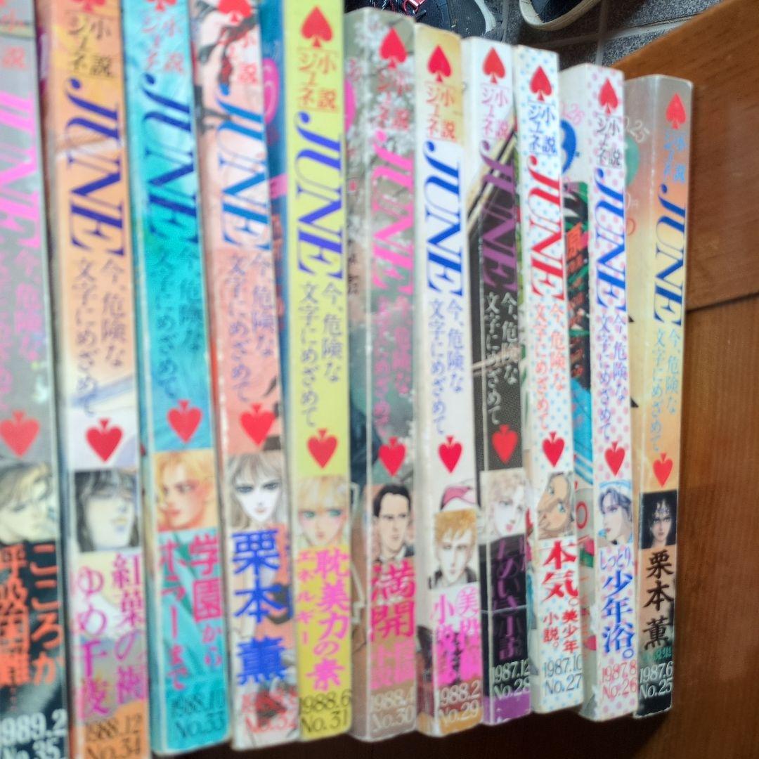 小説June 1984年No.24〜37