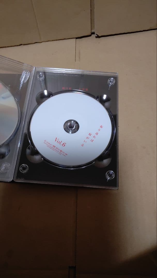 振り返れば奴がいる DVD-BOX 帯あり akihiro