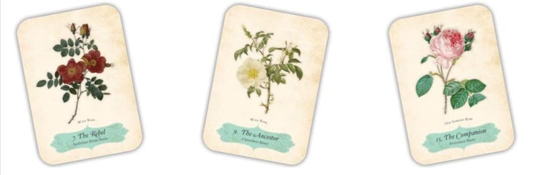 正規品オラクルカード】エレガントローズ色✨美しいヴィンテージ