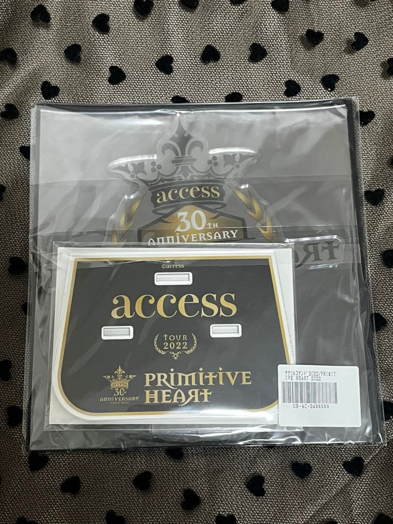 access 浅倉大介 貴水博之 アクリルスタンド - メルカリ