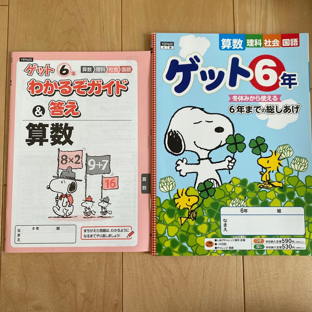 ゲット6年 わかるぞガイド&答え 国語・算数 - メルカリ