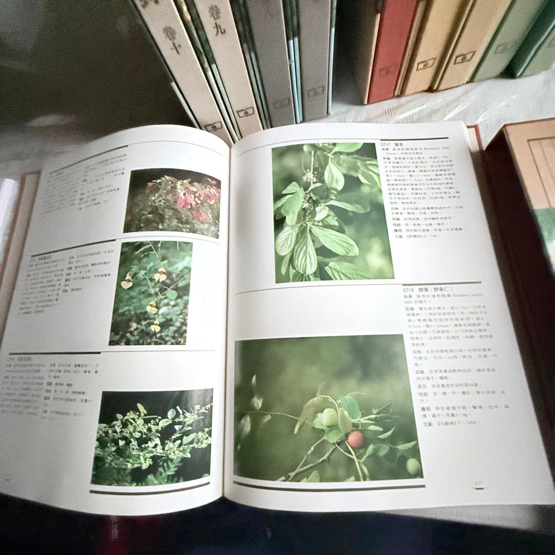 超限定1月13日20時迄‼️漢薬フルカラー『中國本草圖錄』10巻揃￼中国語