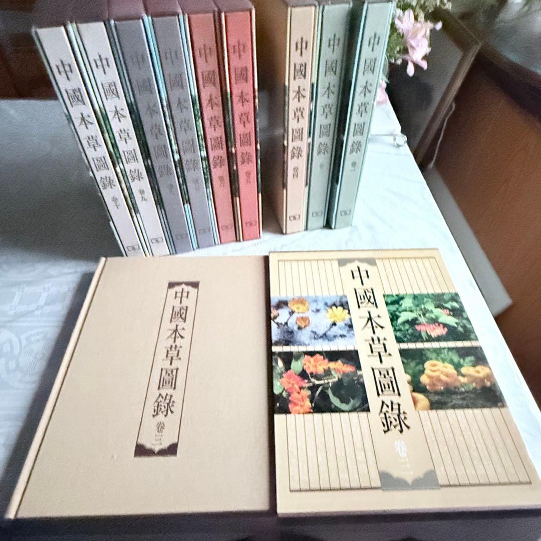 超限定1月13日20時迄‼️漢薬フルカラー『中國本草圖錄』10巻揃￼中国語