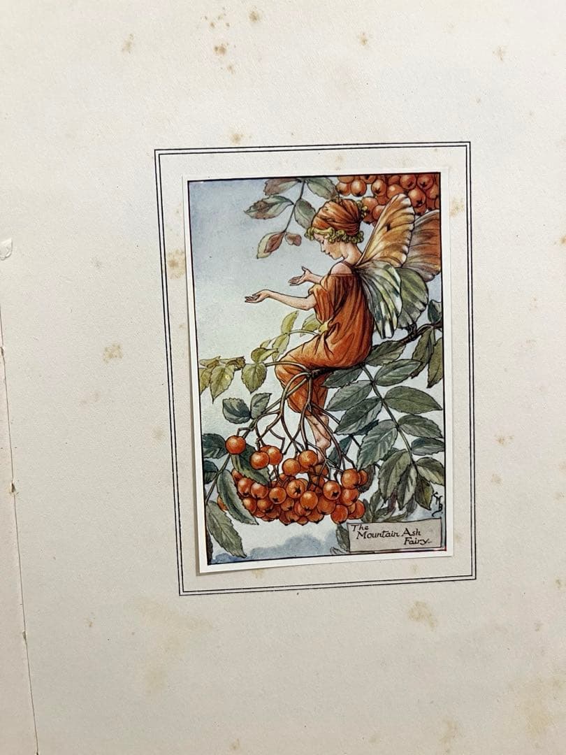 No359 希少 古書 洋書 楽譜 絵本 花の妖精 フラワー フェアリーズ