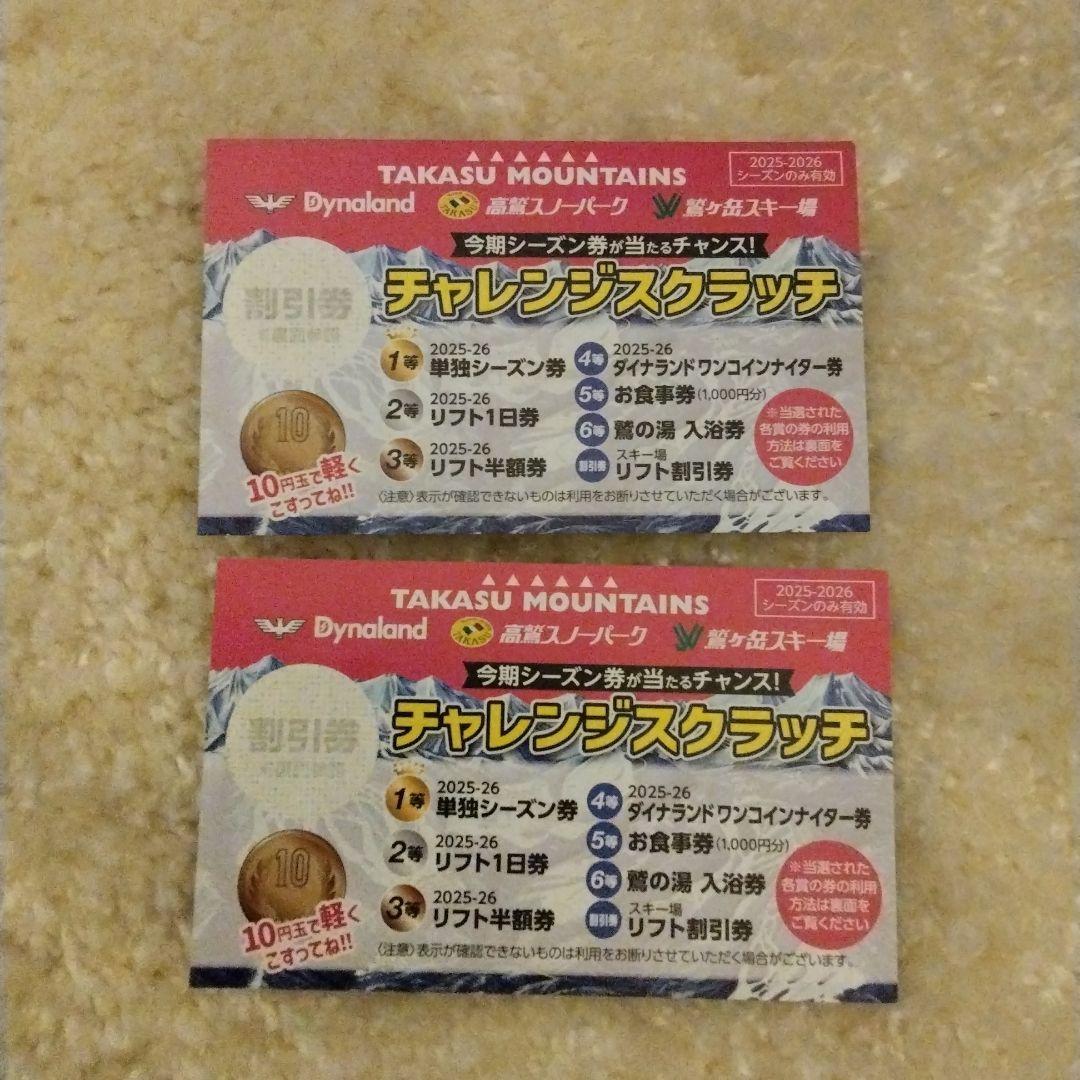 ダイナランド 高鷲スノーパーク 鷲ヶ岳 リフト割引券 - メルカリ