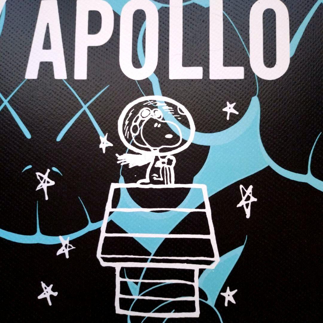 額装death nyc 世界限定100枚スヌーピーKAWS 額装death nyc 世界限定100枚スヌーピーKAWS - メルカリ