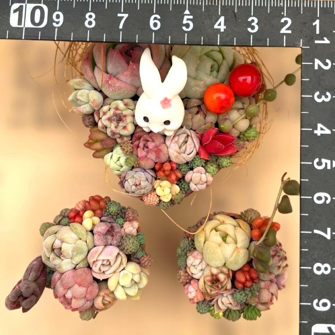 ❤️そのまま飾れる寄せ植え❤️うさちゃん3点セット - メルカリ