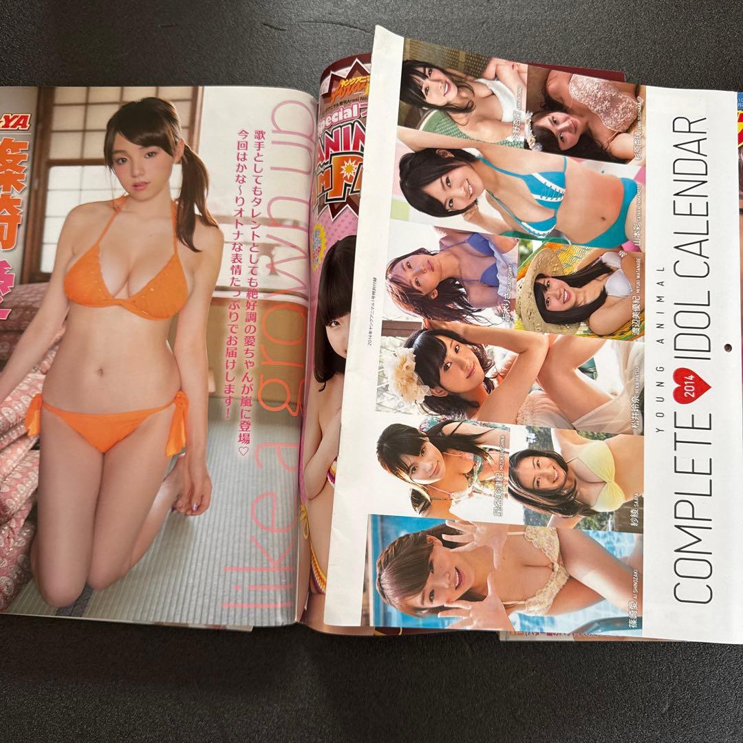 【ポアロ様•出品】 雑誌まとめ売り16冊