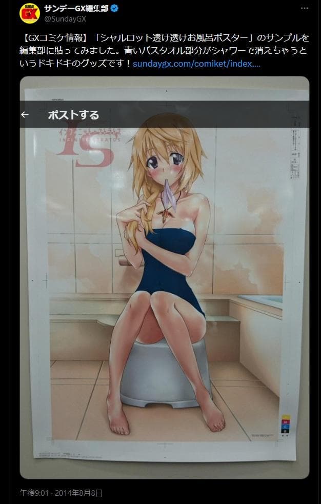 【コミケ限定】 IS インフィニット・ストラトス ポスター3種