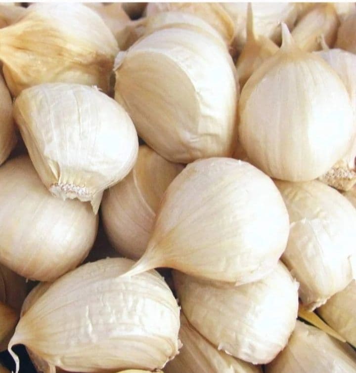 青森県産 にんにく バラ5kg - メルカリ