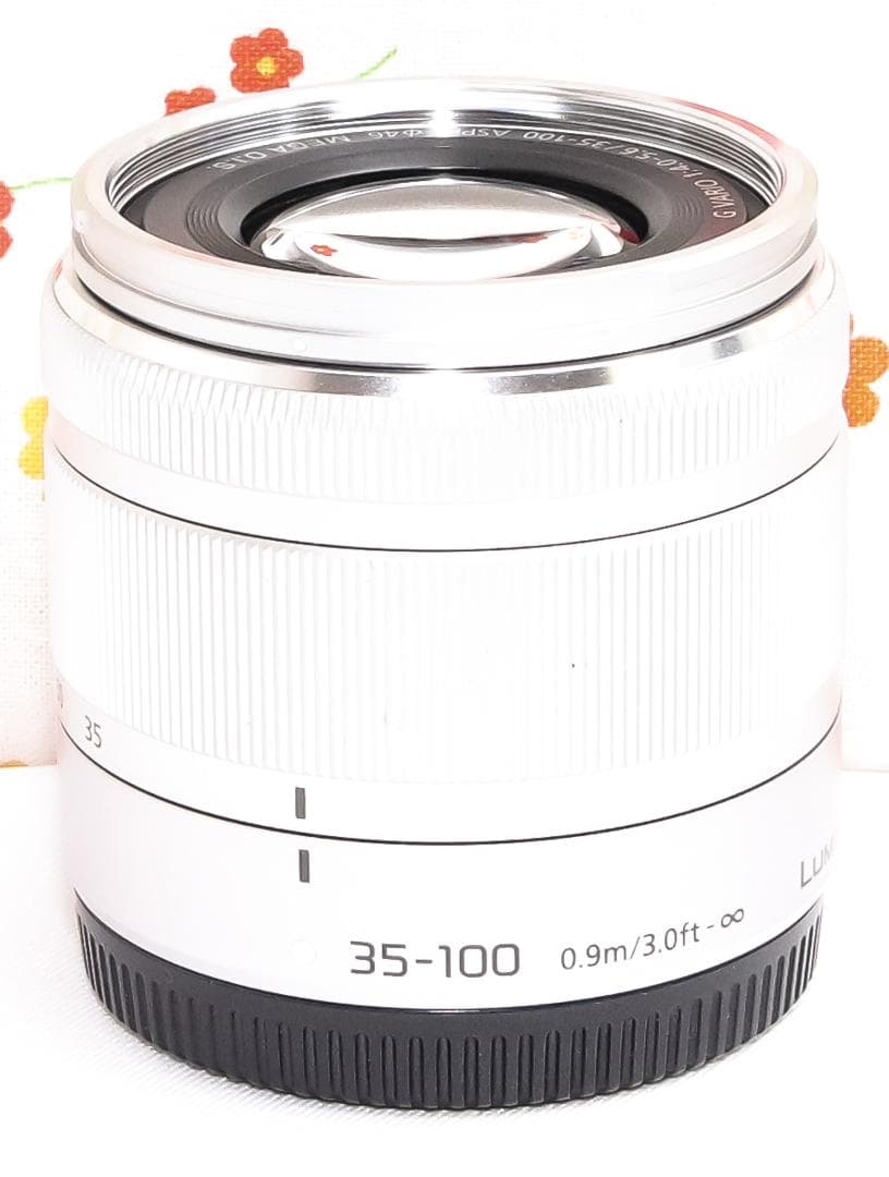 美品☆LUMIX G VARIO 35-100mm F4.0-5.6☆小型・軽量