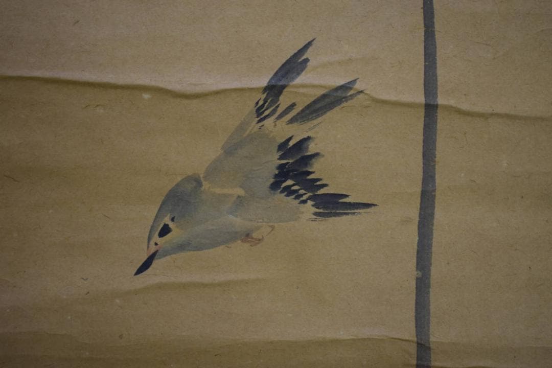 /文晁/梅に小禽図/花鳥/花/布袋屋掛軸HK-23 楽天市場】掛け軸 掛軸 春掛け 花鳥画 「桜花に小鳥」西尾香悦 ＜送料