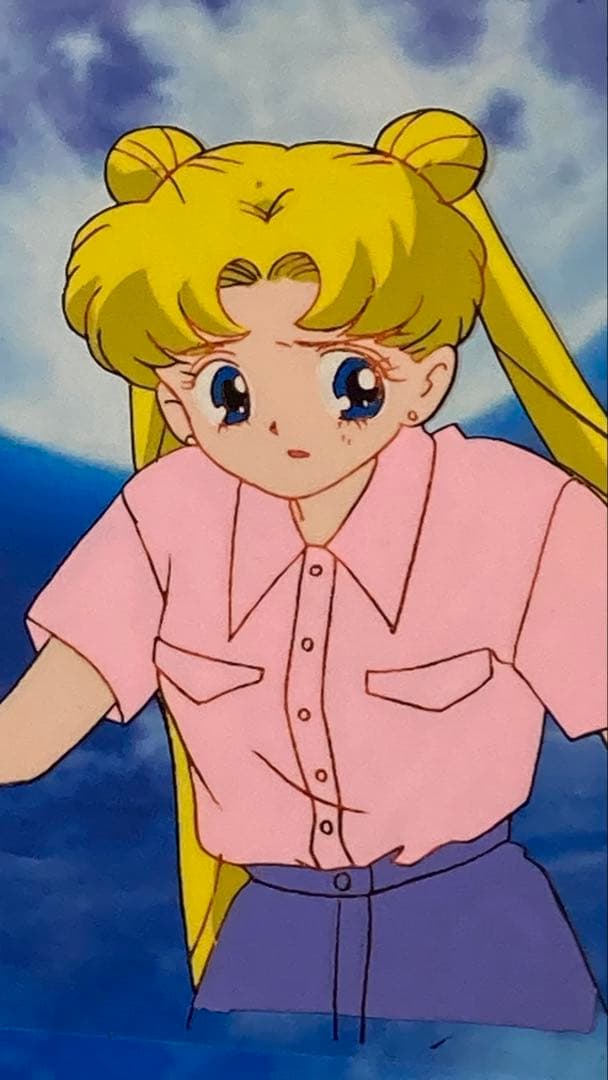 d３８　美少女戦士セーラームーンセル画【月のうさぎ】背景・動画付き