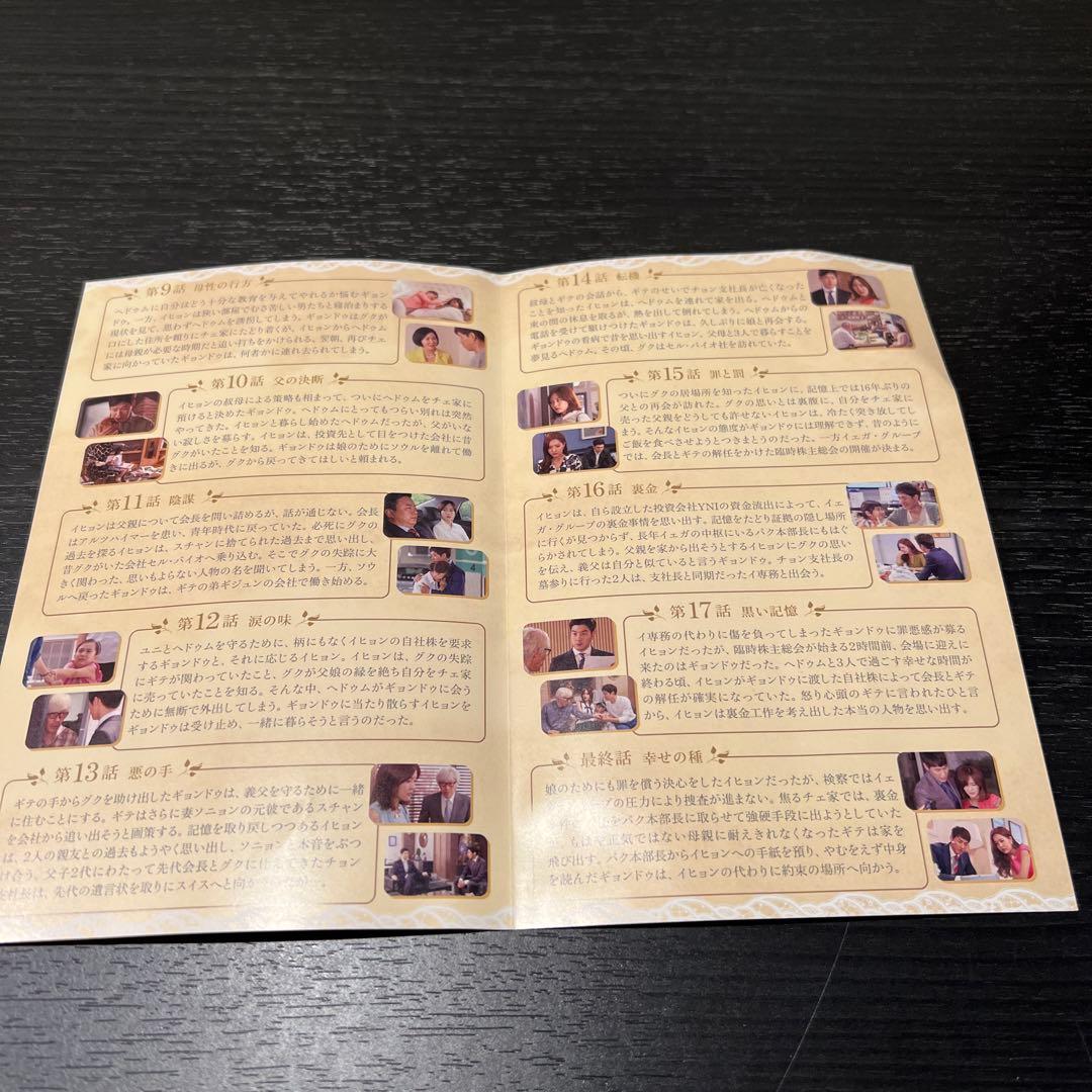 視聴一回のみ！私の10年の秘密 DVD-BOX 全巻