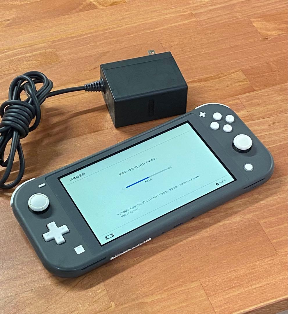 Nintendo Switch Lite 本体 グレー系 スイッチライト Nintendo Switch 任天堂 Lite [グレー] ニンテンドースイッチ ライト