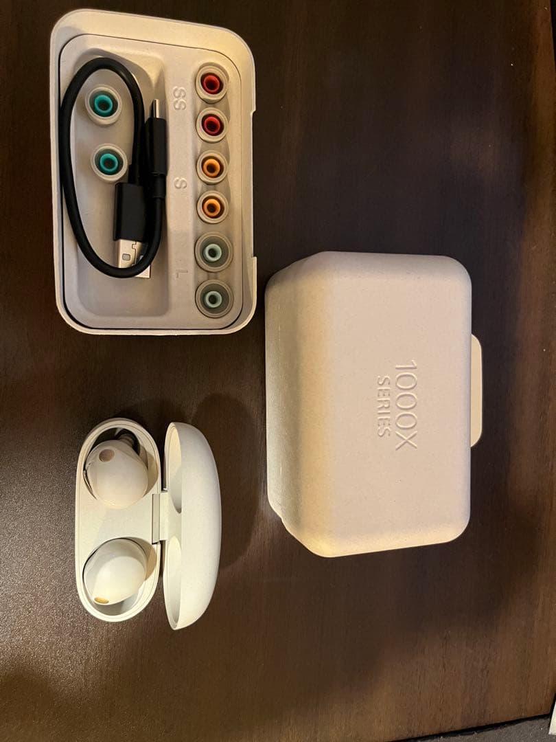 WF-1000XM5 プラチナシルバー 左側ジャンク - メルカリ